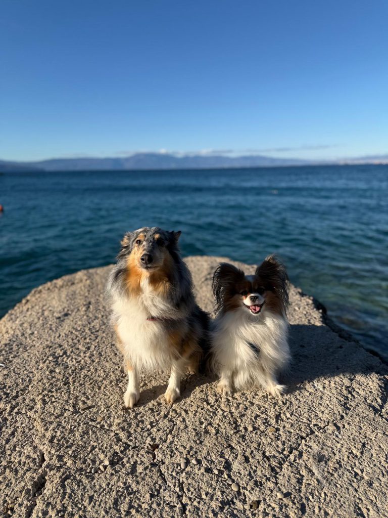 a94c7ac5 e30b 4a68 9e5a d1873f290648